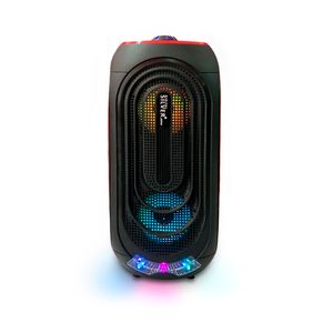 Corneta Portatil Silver Dsj424