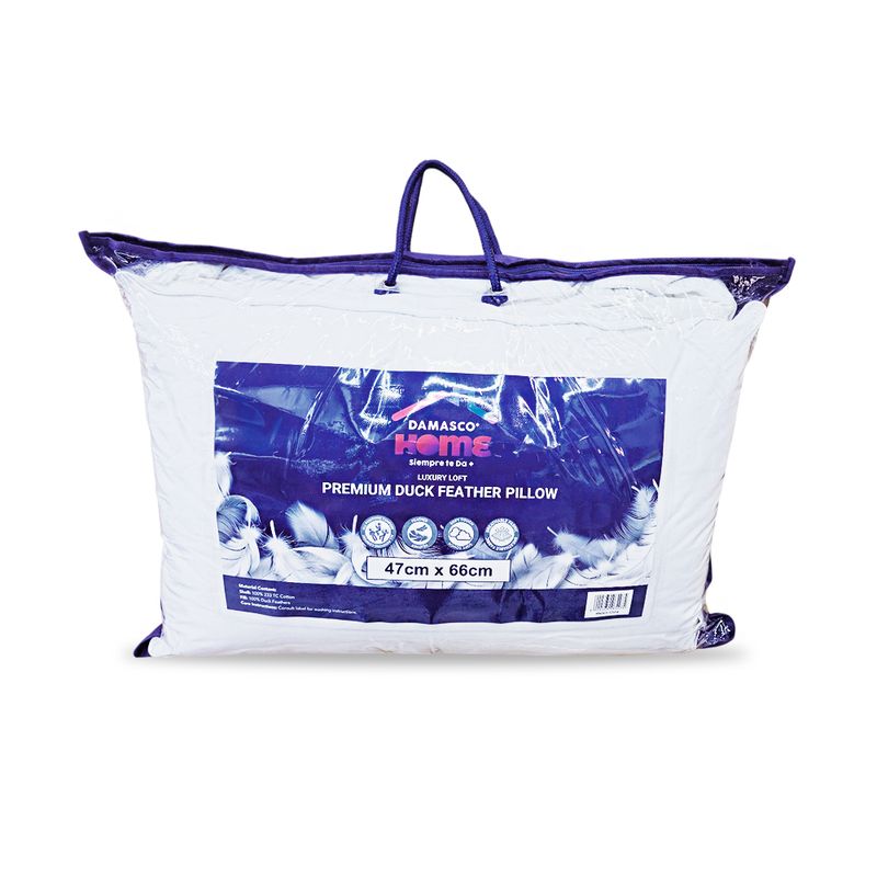 SET-DE-2-ALMOHADAS-H0004437